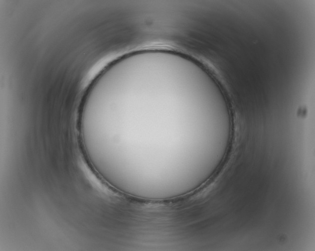 X0000114081422200910050948