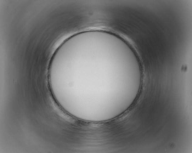 X0000114081423200910050948