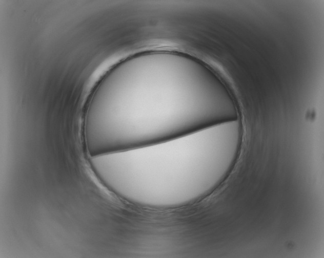 X0000114081424200910050948
