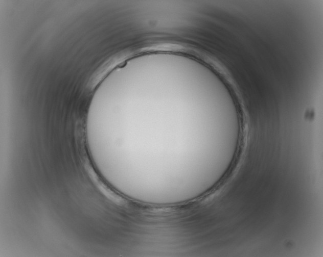X0000114081425200910050949