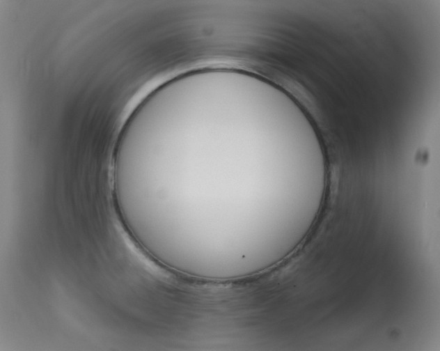 X0000114081428200910050949