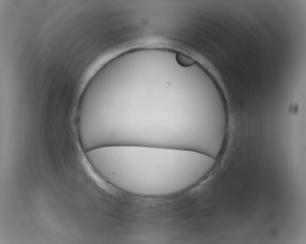 X0000114081429200910050949