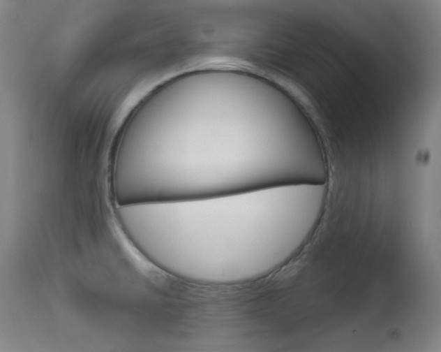 X0000114081430200910050949