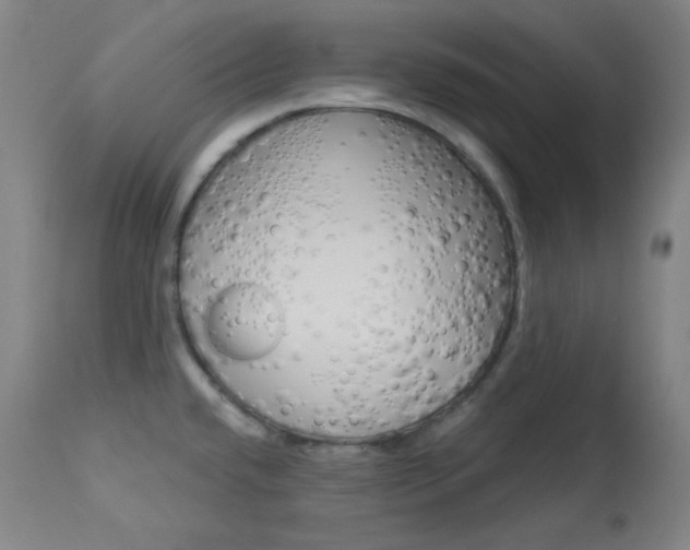 X0000114081432200910050949