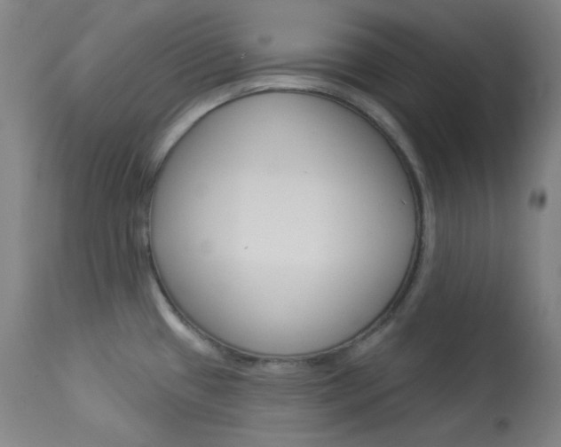 X0000114081433200910050949