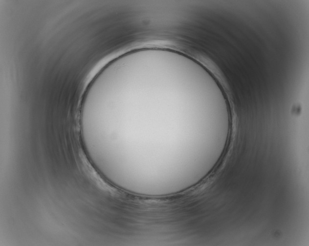 X0000114081436200910050949
