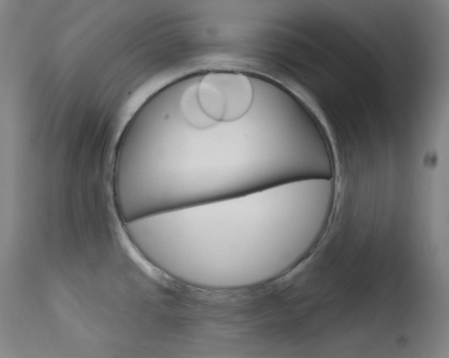 X0000114081437200910050949