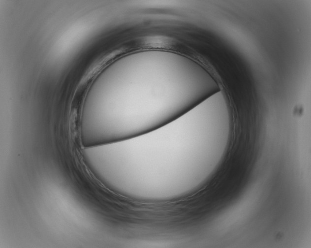 X0000114081438200910050949
