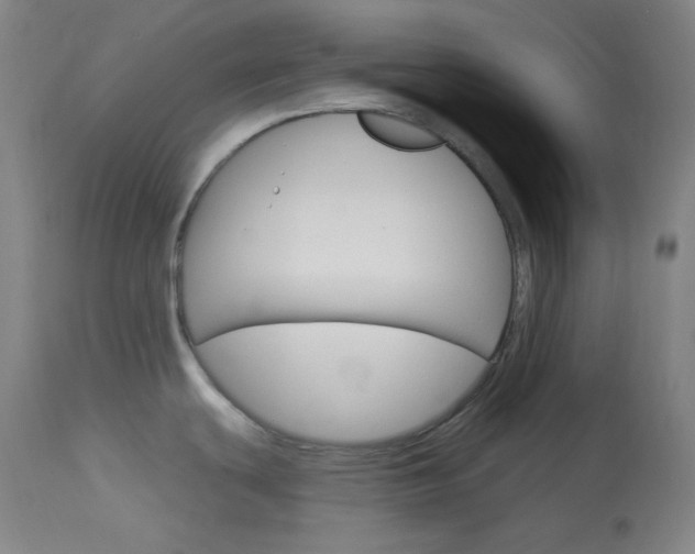 X0000114081439200910050949