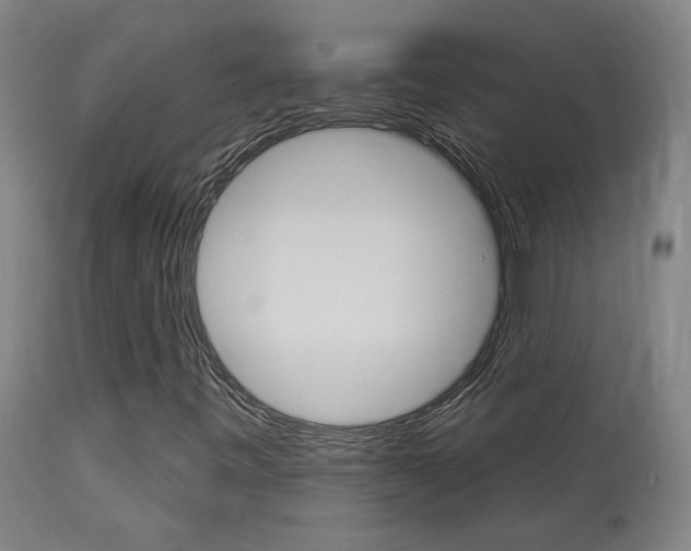 X0000114081443200910050948