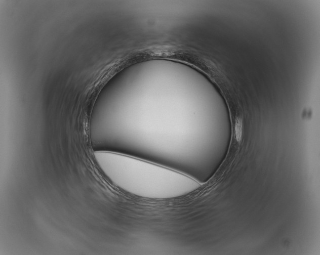 X0000114081444200910050948