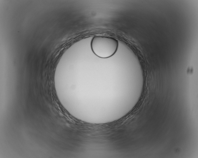 X0000114081445200910050948
