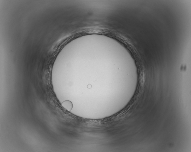 X0000114081446200910050948