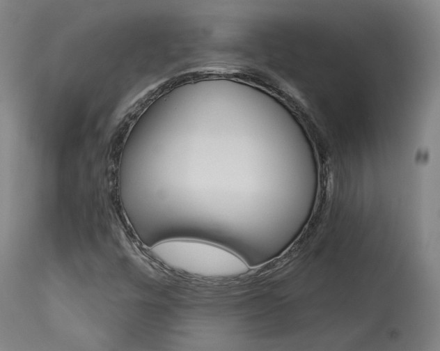 X0000114081448200910050948