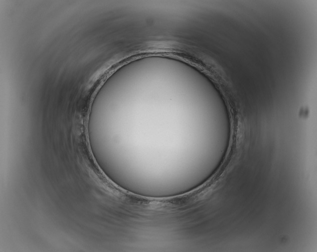 X0000114081449200910050948