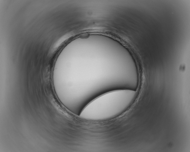 X0000114081450200910050948