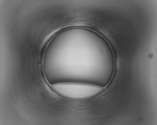 X0000114081452200910050948