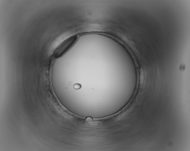 X0000114081453200910050948