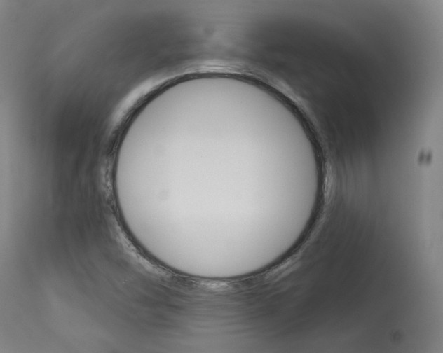 X0000114081454200910050948