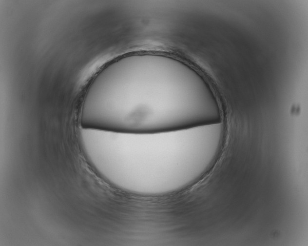 X0000114081455200910050948