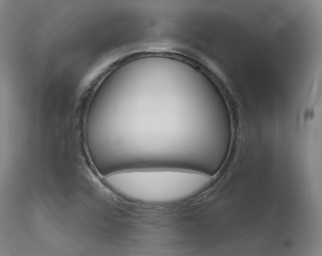 X0000114081456200910050948