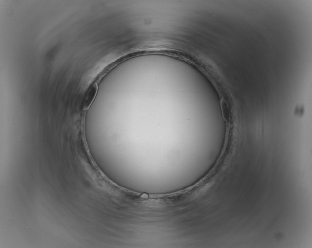 X0000114081457200910050948