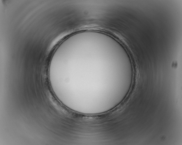 X0000114081458200910050948