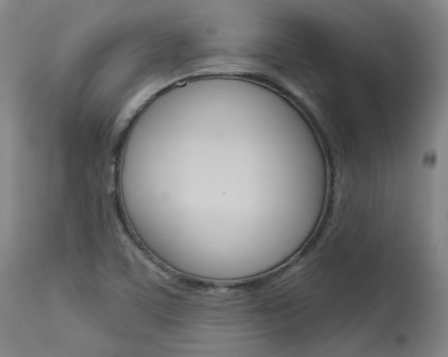 X0000114081459200910050948