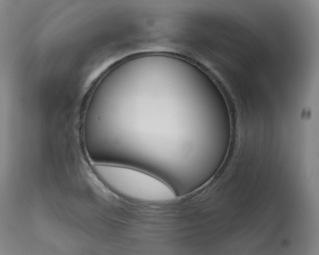 X0000114081460200910050948