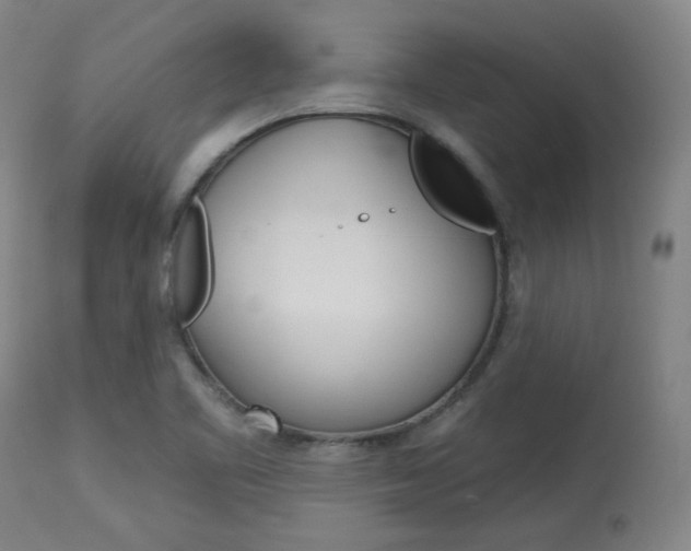 X0000114081461200910050948