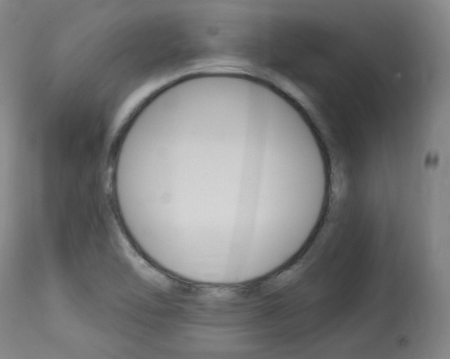 X0000114081462200910050948