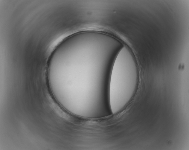 X0000114081463200910050948
