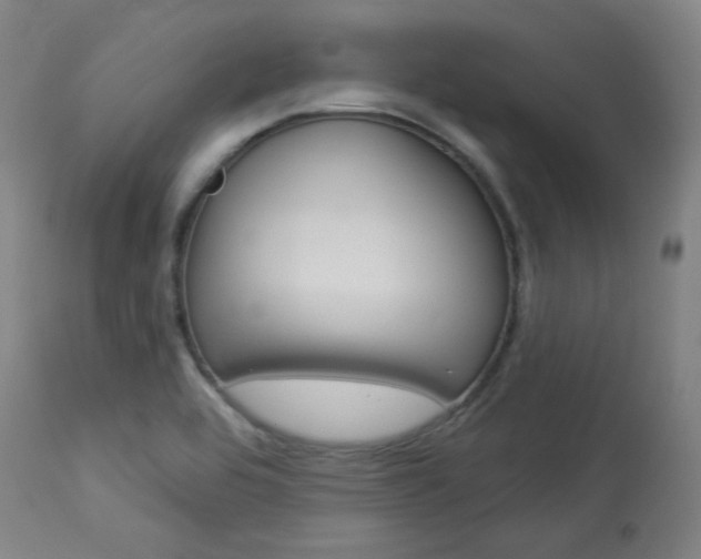 X0000114081464200910050948