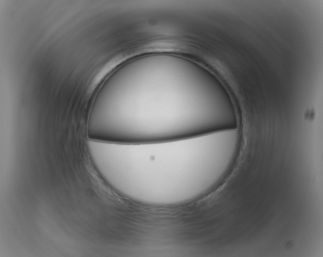 X0000114081465200910050948