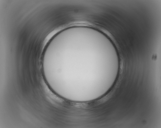 X0000114081466200910050948