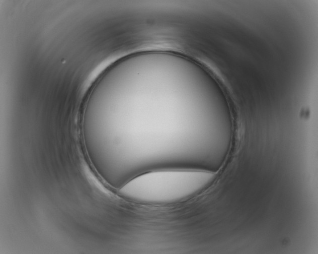 X0000114081468200910050948