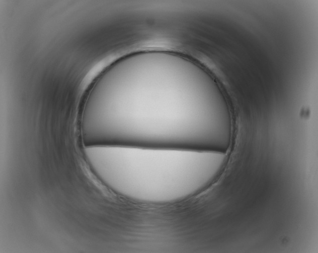 X0000114081469200910050947
