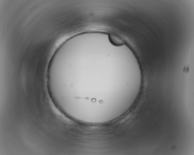X0000114081471200910050947