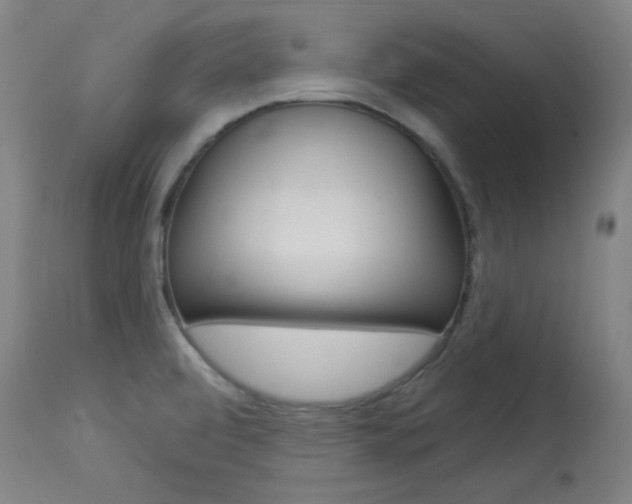 X0000114081472200910050947