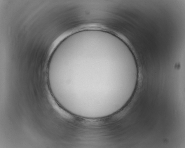 X0000114081474200910050947