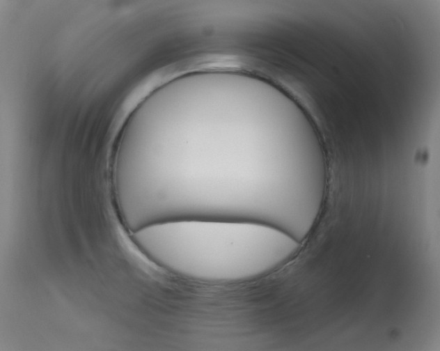 X0000114081475200910050947
