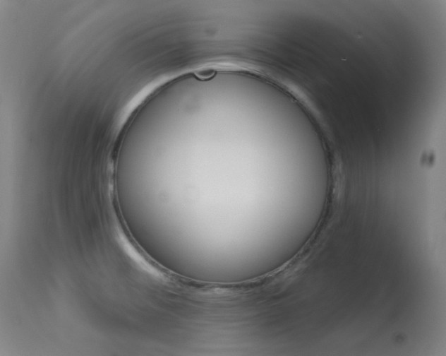 X0000114081476200910050947