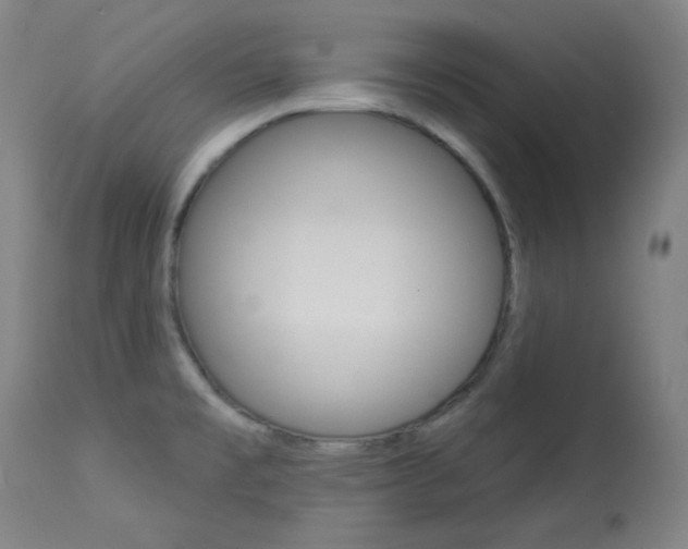 X0000114081477200910050947