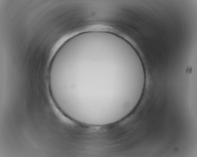 X0000114081478200910050947