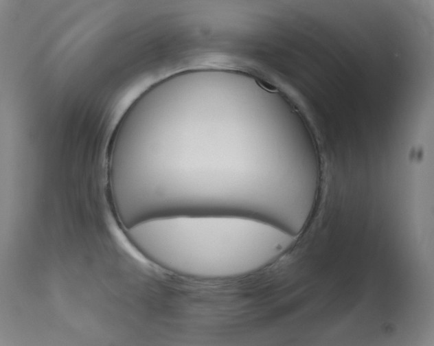 X0000114081479200910050947