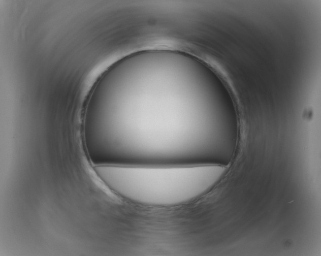 X0000114081480200910050947