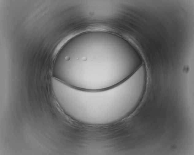 X0000114081481200910050947