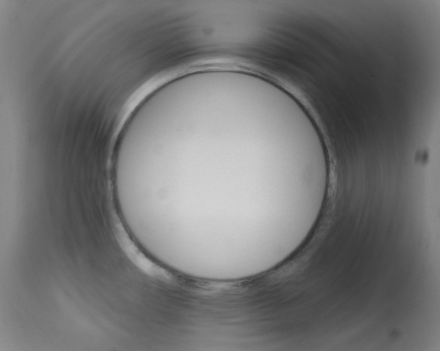 X0000114081482200910050947