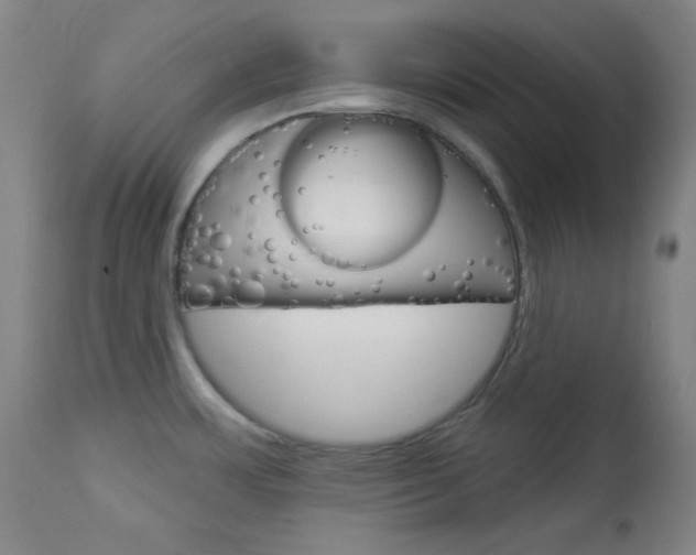 X0000114081483200910050947