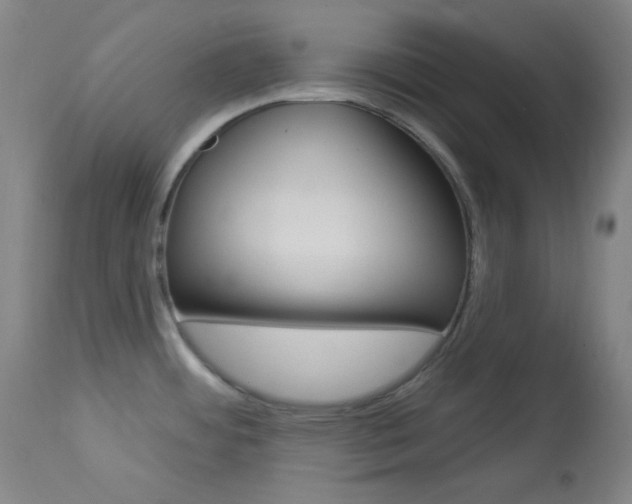 X0000114081484200910050947